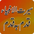 Seerat Ul Anbiya book