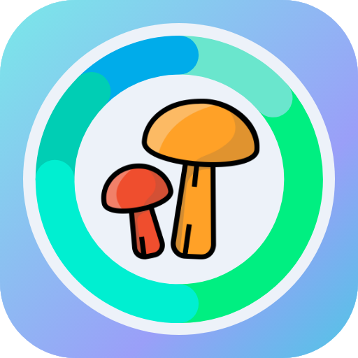 DeepMush - AI Mushroom Classif