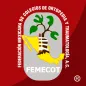 FEMECOT 2018