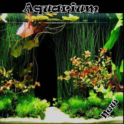 Aquarium
