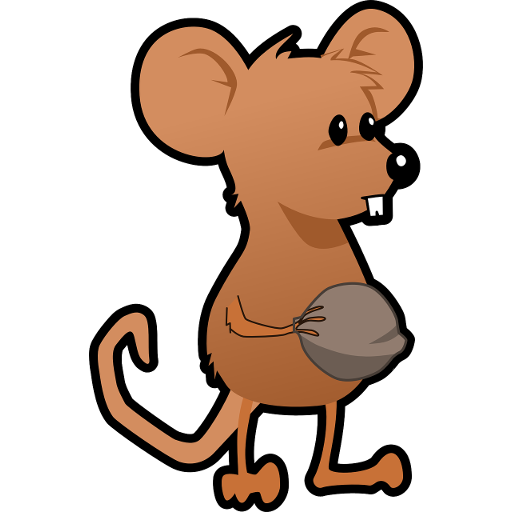 Tikus