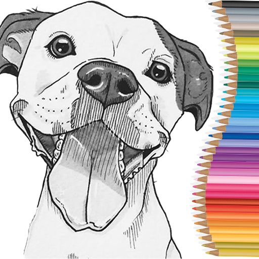Learn To Draw Dogs