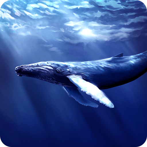 Blue Whale Revange