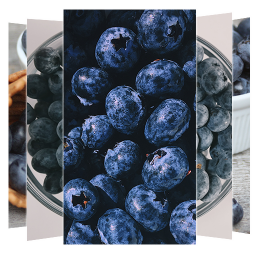 Blueberry Wallpaper