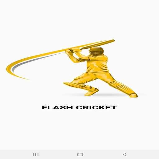 Flash Cricket fastest cricket Score