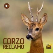 Corzo Reclamo