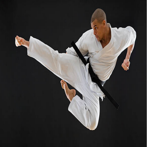 Karate Dövüş Sanatları