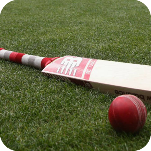 Cricket Bat Full HD Wallpaper