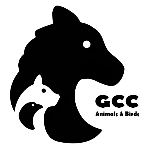 GCC Animals and Birds