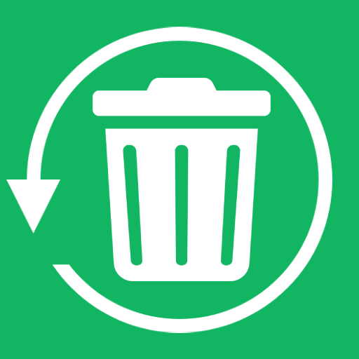 File Recovery - Photo & Video