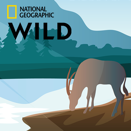 Nat Wild Geo Planet Earth