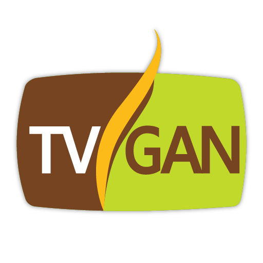 TVGAN