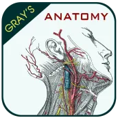 Gray's Anatomy - Anatomy Atlas