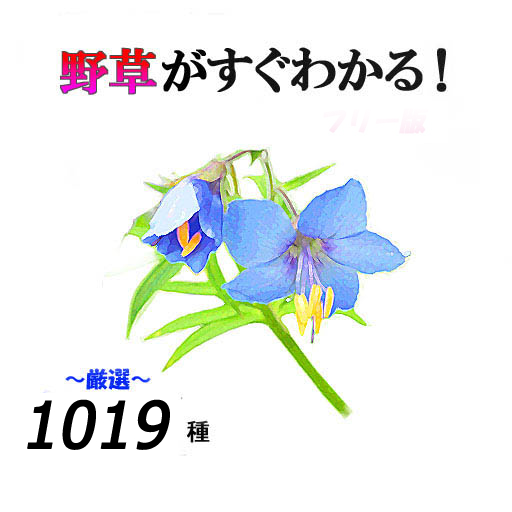 野草がすぐわかる（仮）統合版