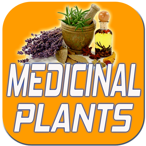 Medicinal Plant Remedies and T
