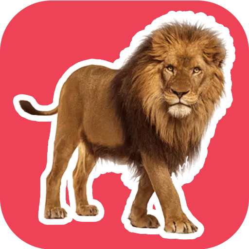 Animal Stickers for WhatsApp