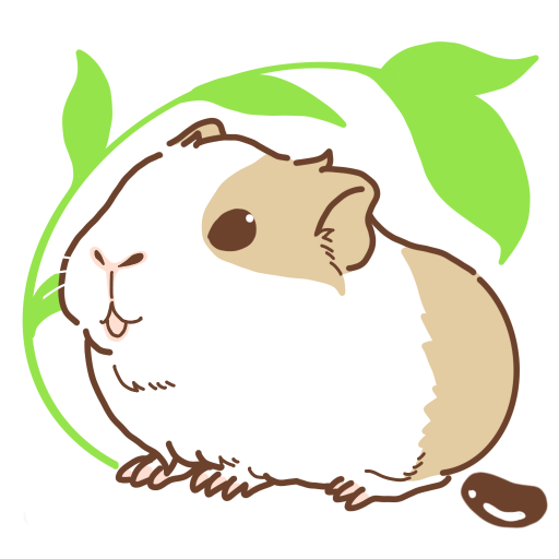 Guinea pig Fit - Guinea Pig Ma