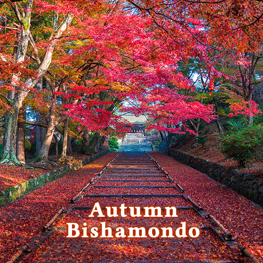 Autumn Bishamondo