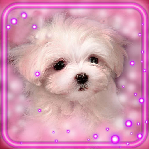 Puppies Live Wallpaper