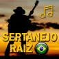 Musica Sertanejo