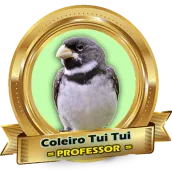Canto Coleiro Tui Tui (Professor) HD Completo