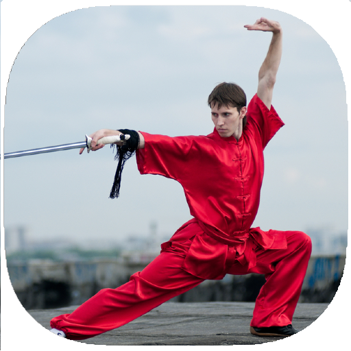 Shaolin Kung Fu Training Guide