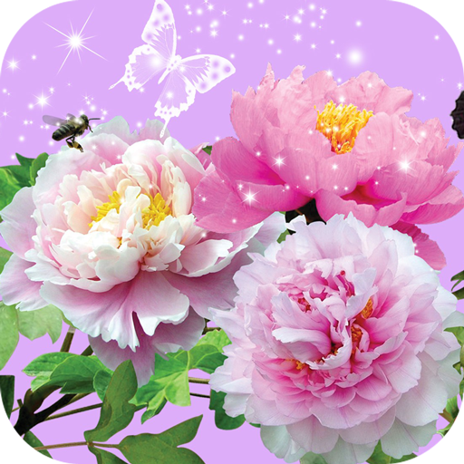 Pictures of Flowers App