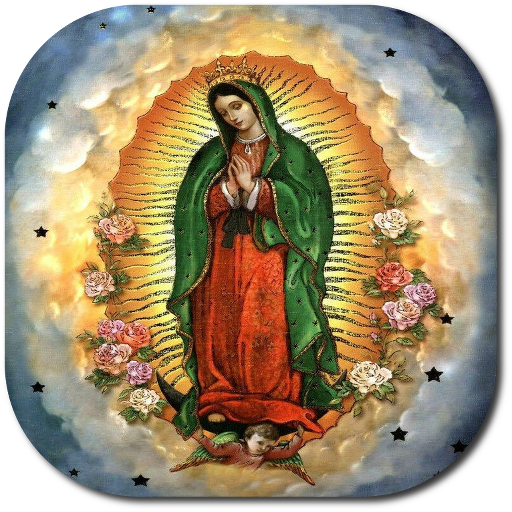 46 RosariosVirgen de Guadalupe