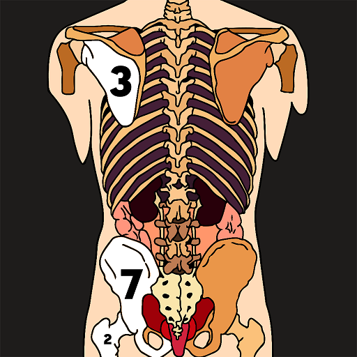 Download Human Body Color by Number Art android on PC