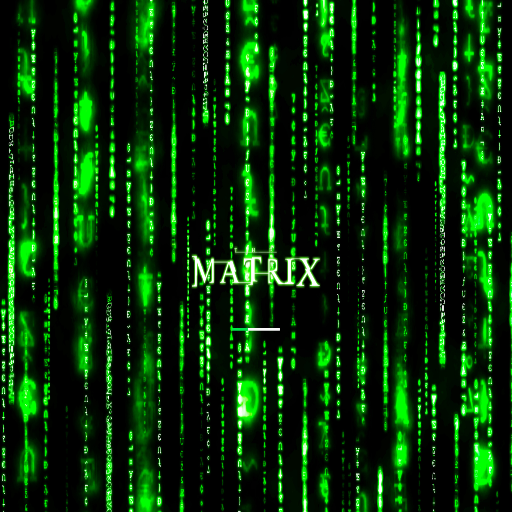 Matrix Game