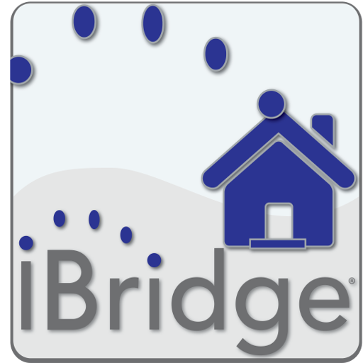 iBridge