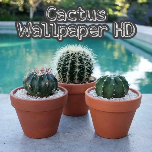 Cactus Wallpaper HD