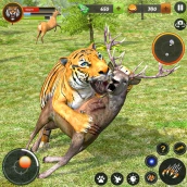 Game Harimau Hewan Liar