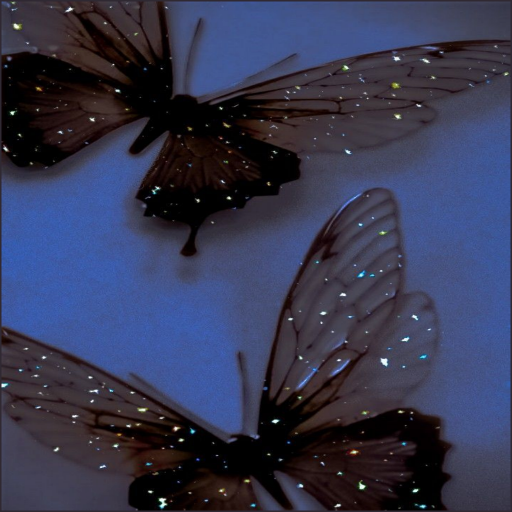 Butterfly Wallpaper Aesthetic