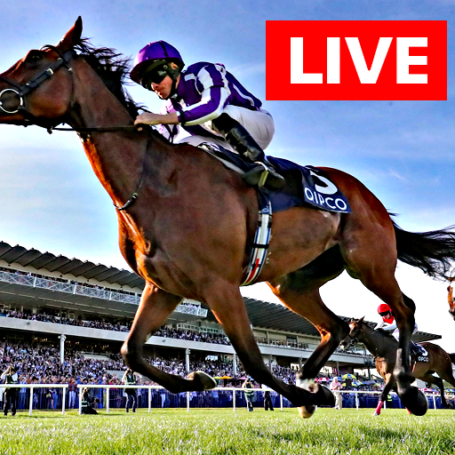 Watch Horse Racing Live Stream