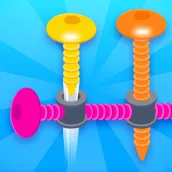 Screw Nut Puzzle