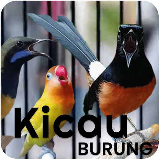 Kicau Burung Terlengkap