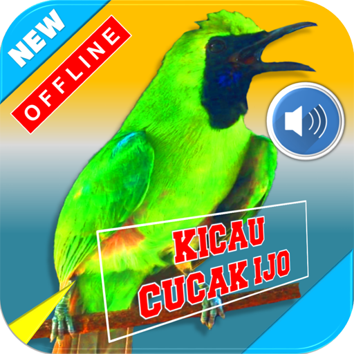 🐦Kicau Masteran Cucak Ijo Nge