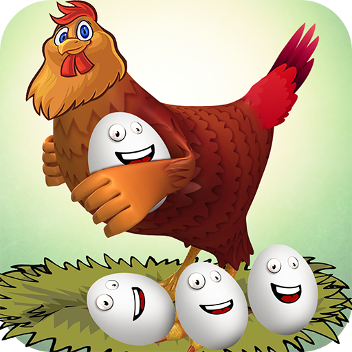 Yumurta Çiftliği - Tavukçuluk