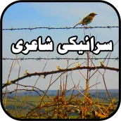 Saraiki Status: سرائیکی شاعری
