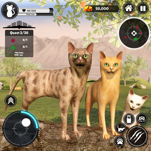 Кошачьи Игры Игра про Животных
