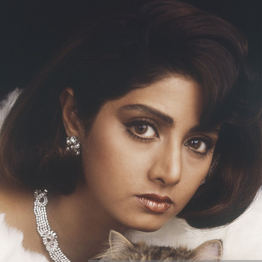 Sridevi -Movies ,Wallpapers