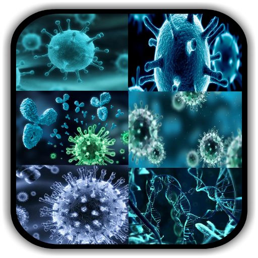 Virology - Principles & Applic