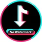 Free TikTok Video Downloader - No Watermark