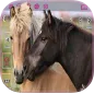 Pony horse love keyboard