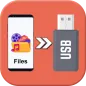 Files To USB