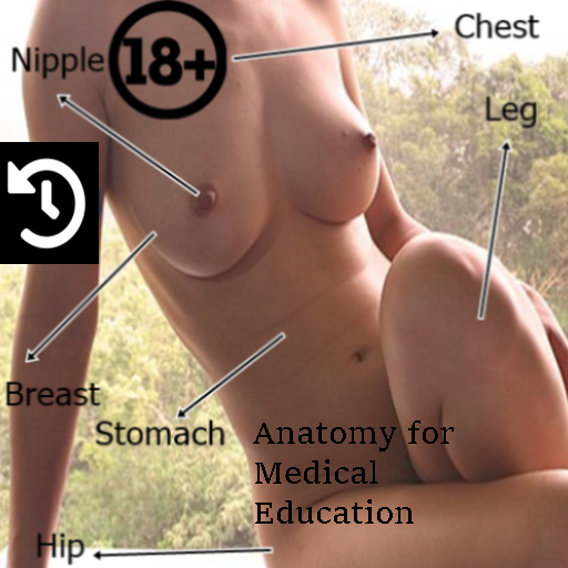 Wanita - Anatomi