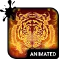 Fire Tiger Keyboard Wallpaper