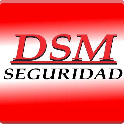 DSM Seguridad EasyView