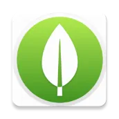 MongoDB Database